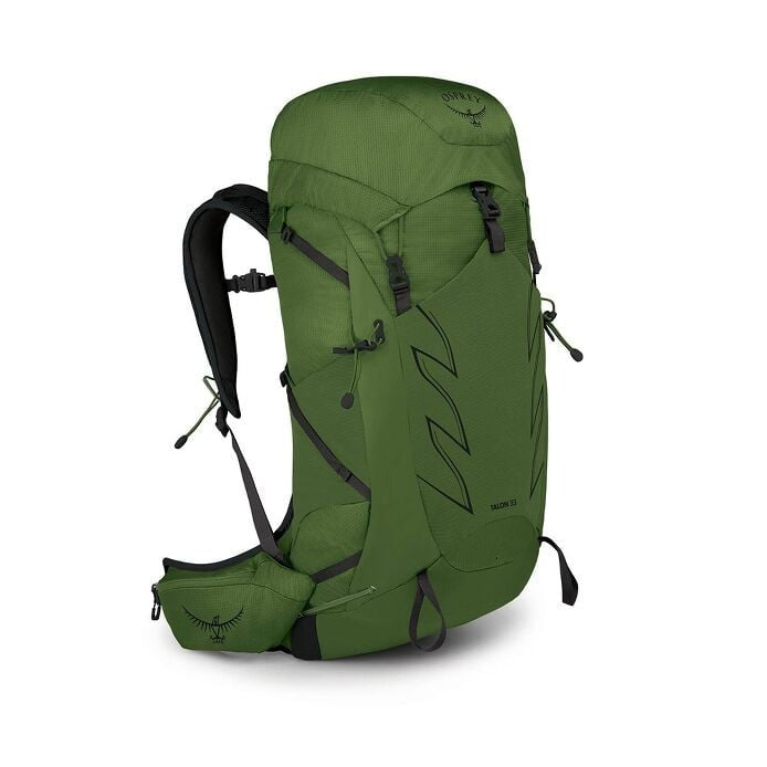 Load image into Gallery viewer, Osprey Talon 33Litre Daypack - Green Belt/Black
