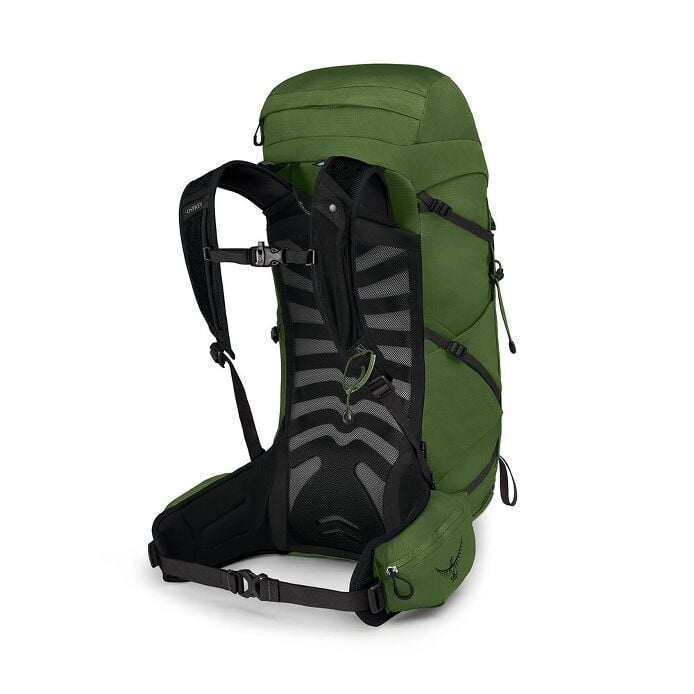 Load image into Gallery viewer, Osprey Talon 33Litre Daypack - Green Belt/Black
