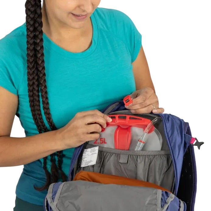 Load image into Gallery viewer, Osprey Sportlite 20L Daypack - Alkaline/ Hotspot Pink
