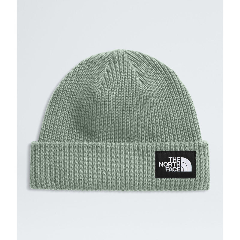 Load image into Gallery viewer, TNF Salty Lined Beanie Slate Moss
