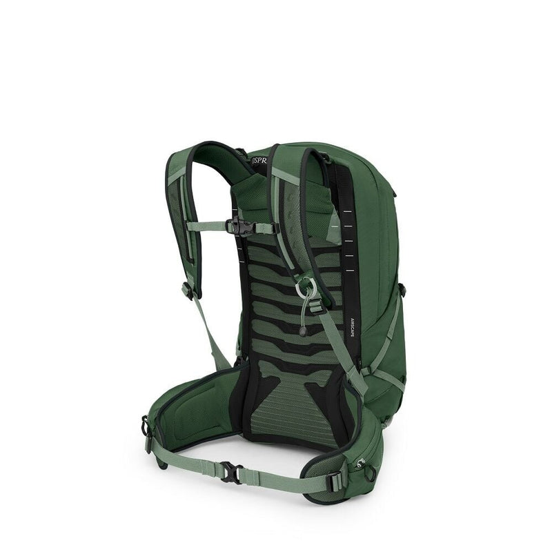 Load image into Gallery viewer, Osprey Talon 22 Green Canopy
