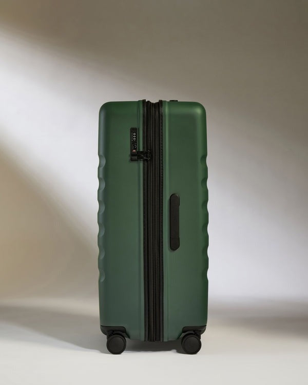 Load image into Gallery viewer, Antler Icon Stripe Large Roller Case - Green
