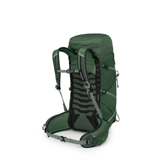 Load image into Gallery viewer, Osprey Talon 33 Green Canopy Pine OS
