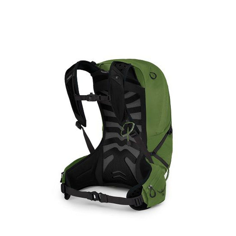 Load image into Gallery viewer, Osprey Talon 22L Daypack - Green Belt/Black
